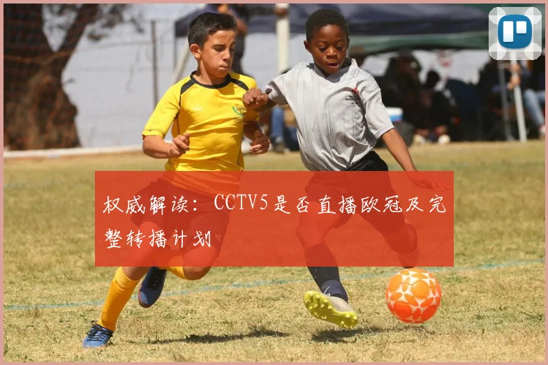 权威解读:CCTV5是否直播欧冠及完整转播计划